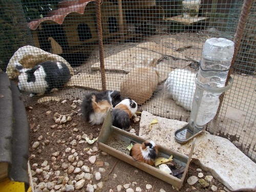 B&B Il Giardino Acquatico image 10