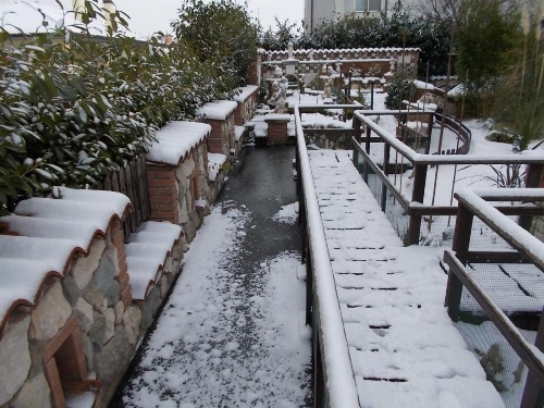 B&B Il Giardino Acquatico image 14