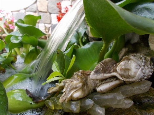 B&B Il Giardino Acquatico image 20