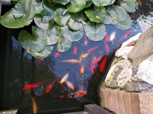 B&B Il Giardino Acquatico image 24