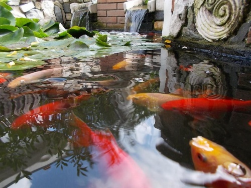 B&B Il Giardino Acquatico image 25