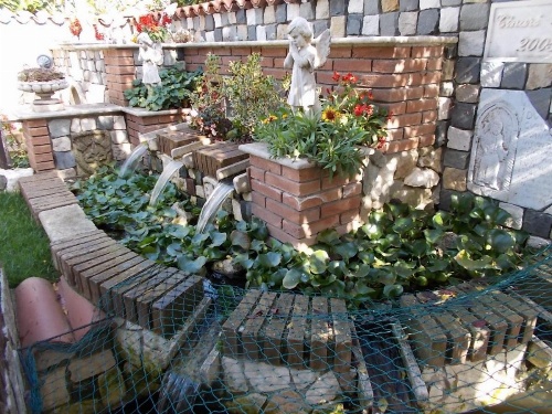 B&B Il Giardino Acquatico image 29