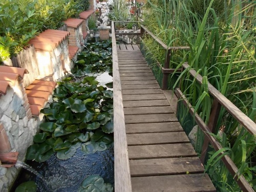 B&B Il Giardino Acquatico image 33