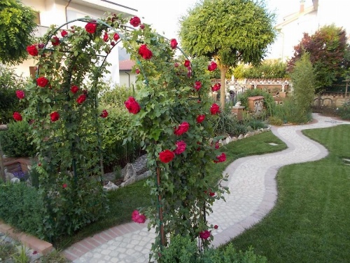 B&B Il Giardino Acquatico image 34