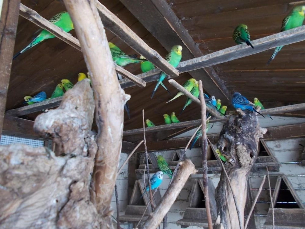 B&B Il Giardino Acquatico